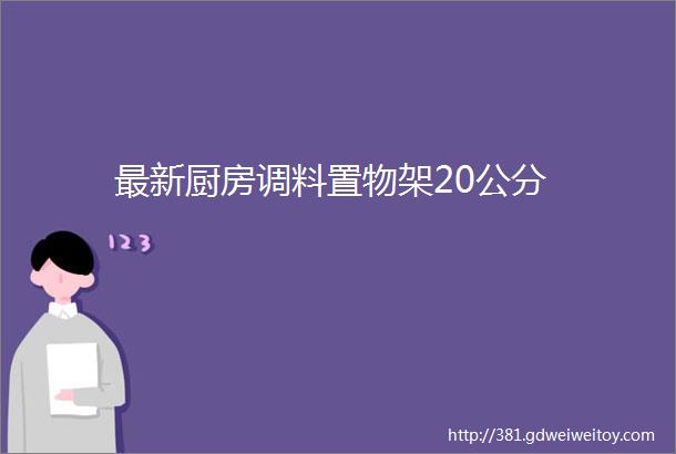 最新厨房调料置物架20公分